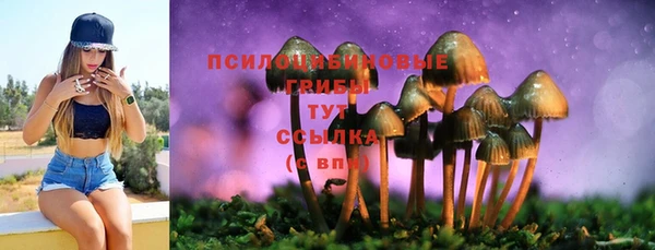 COCAINE Арсеньев