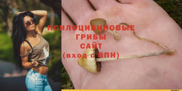 метамфетамин Аркадак