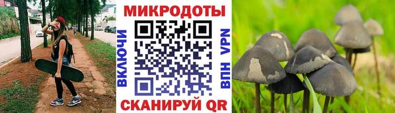 Псилоцибиновые грибы мухоморы  Купить закладки  Ялта 